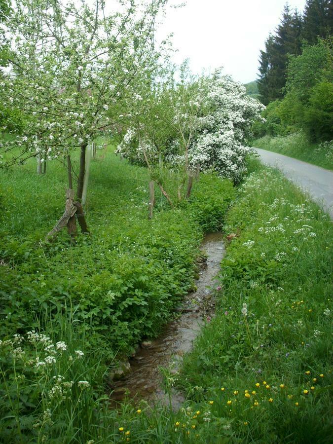 Gasthof Susewind Antfeld Dış mekan fotoğraf